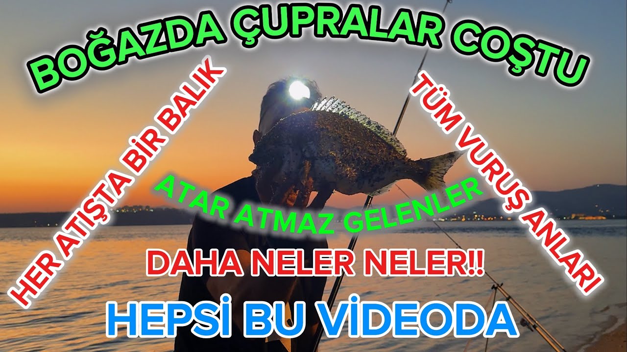 BOĞAZDA ÇUPRA BASKINI!(VURUŞ ANLARIYLA)