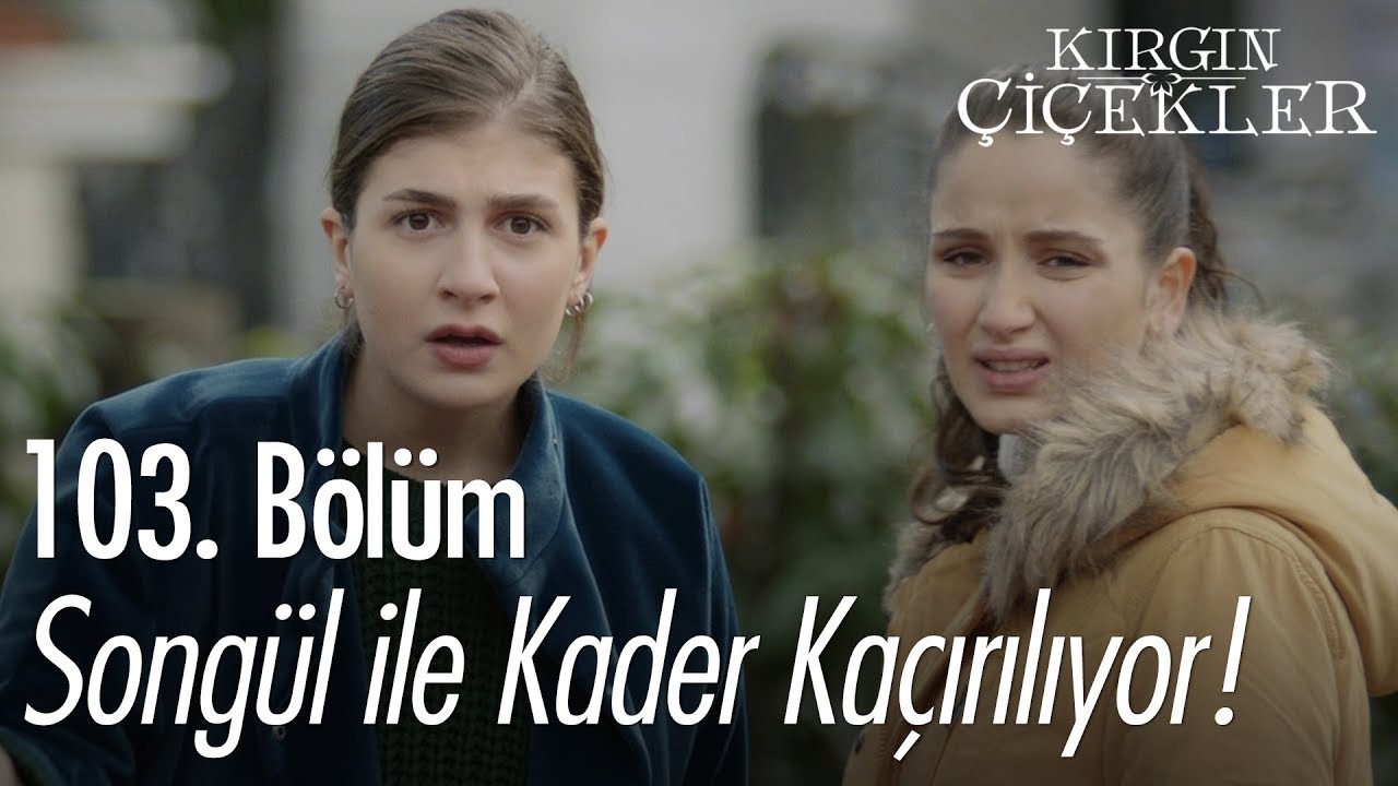 Songül ile Kader kaçırılıyor! - Kırgın Çiçekler 103. Bölüm