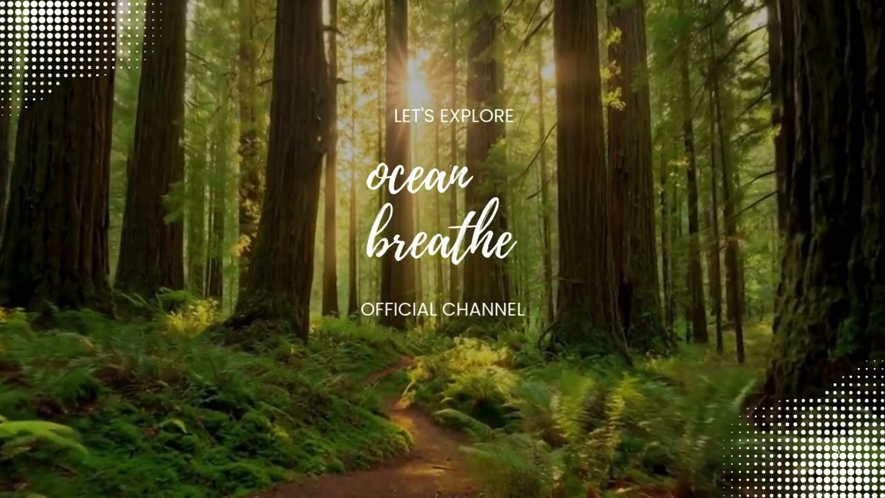 Let the Ocean Breathe for You with Calm Waves for Deep Sleep