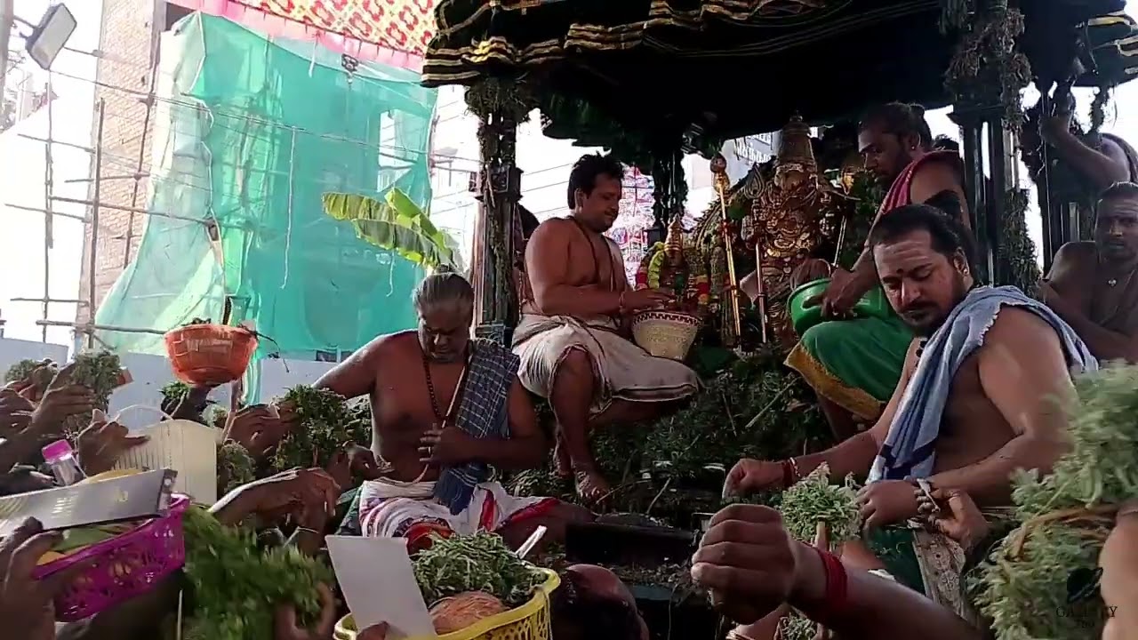 திருச்செந்தூர் முருகர் பச்சை சாத்தி ஊர்வலம் மாசித்திருவிழா #tiruchendur #muruga #om #hindutemple