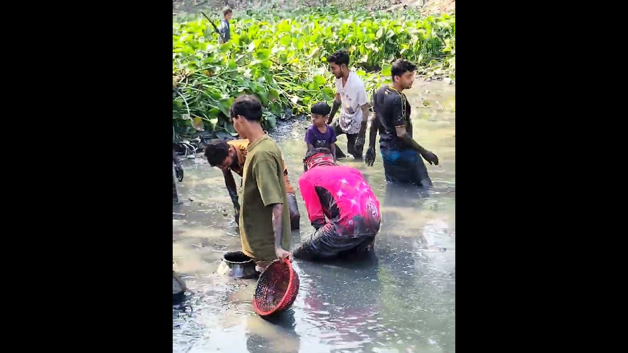 গ্রামের পুকুর থেকে মাছ ধরার দৃশ্য। এত পরিমাণ মাছ পেলাম যে আমরা সবাই অবাক। 