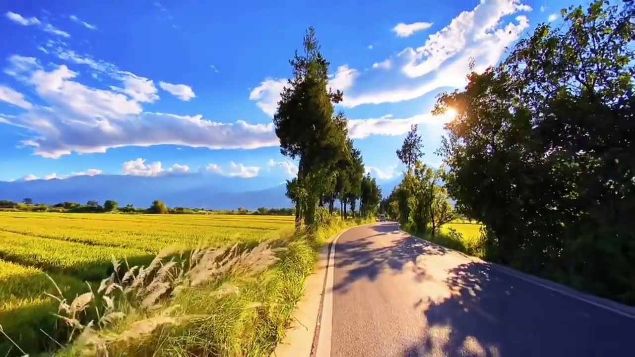 No Copyright BGM ♫| Village Background Music for Your Creative Work, Study and Work Sessions