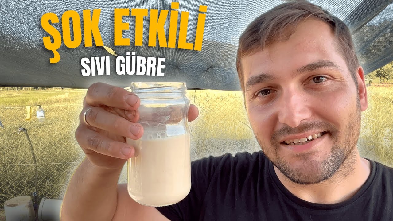 3 Простых Ингредиента – Урожай в 10 Раз Больше! Шокирующее Жидкое Удобрение