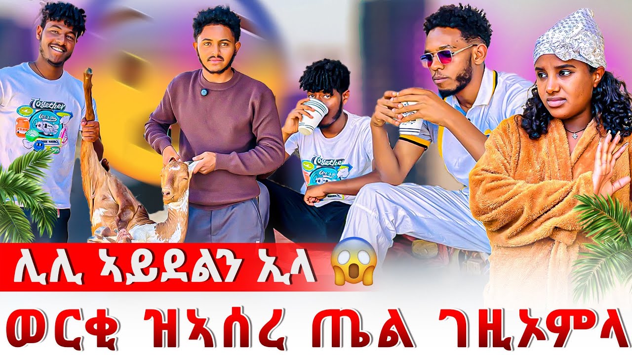 📣ኣሌክስ ወርቂ ዝኣሰረ ጤል ገዚኡላ😱ሊሊ ምለሶ ኢላቶ😨😱
