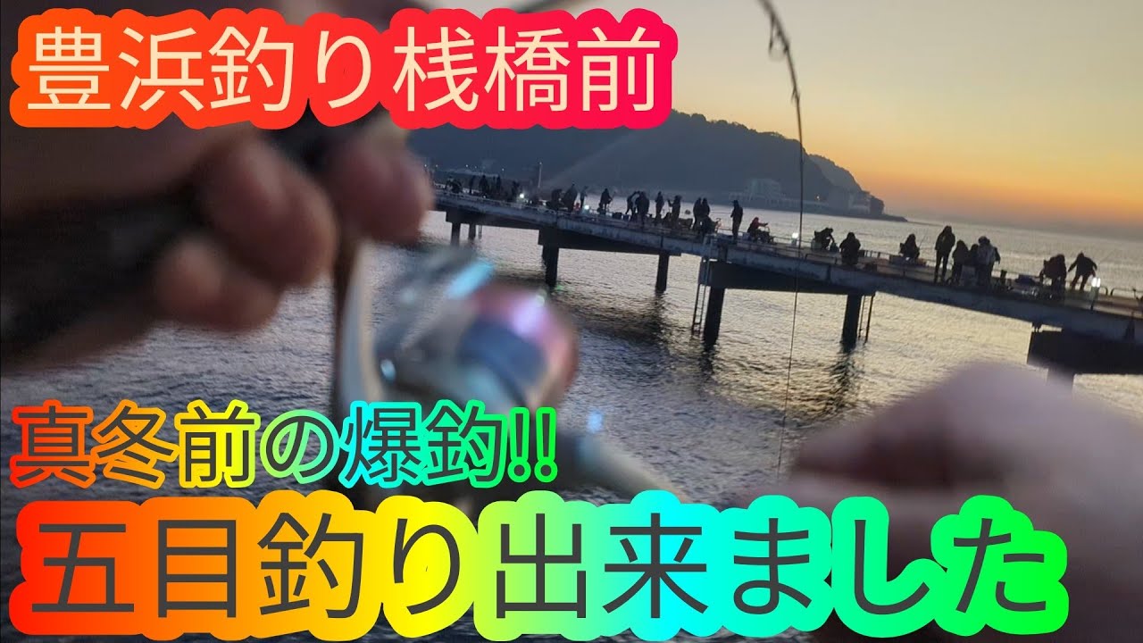 真冬前最後の爆釣‼豊浜釣り桟橋前でヘチ釣りしたら五目釣り出来ました…愛知県 知多半島 南知多 海釣り fishing 根魚 カサゴ セイゴ グレ