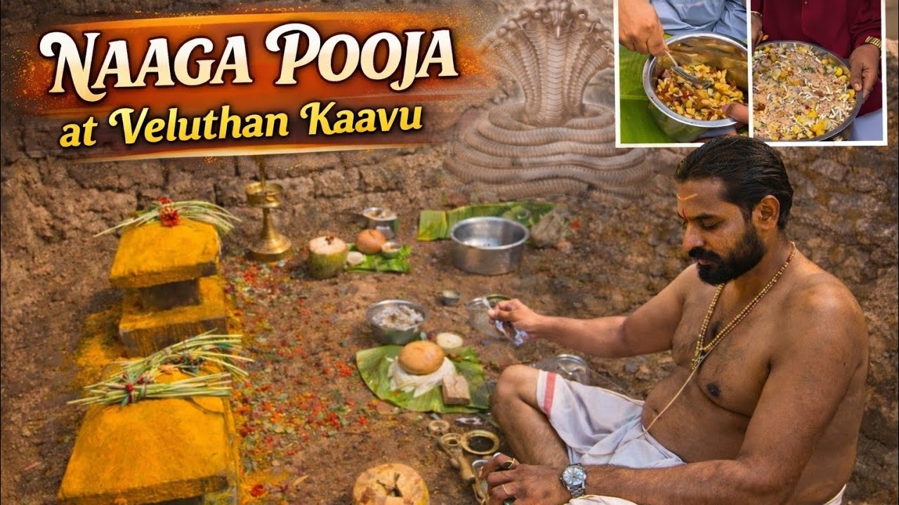 Veluthankaavu Pooja ||🐍സർപ്പകാവ് പൂജ ||