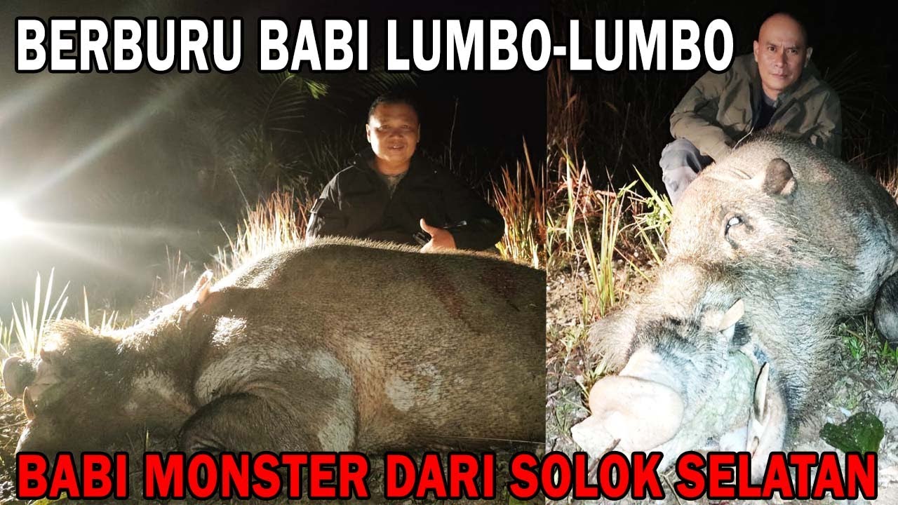 BERBURU DI SUMATERA BARAT