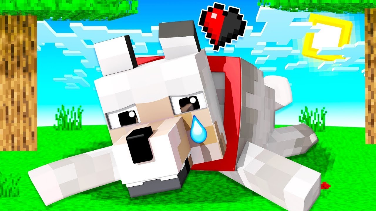 DALŮV PEJSEK ŇUFÁČEK SE ZTRATIL V MINECRAFTU!! @DaloCZ