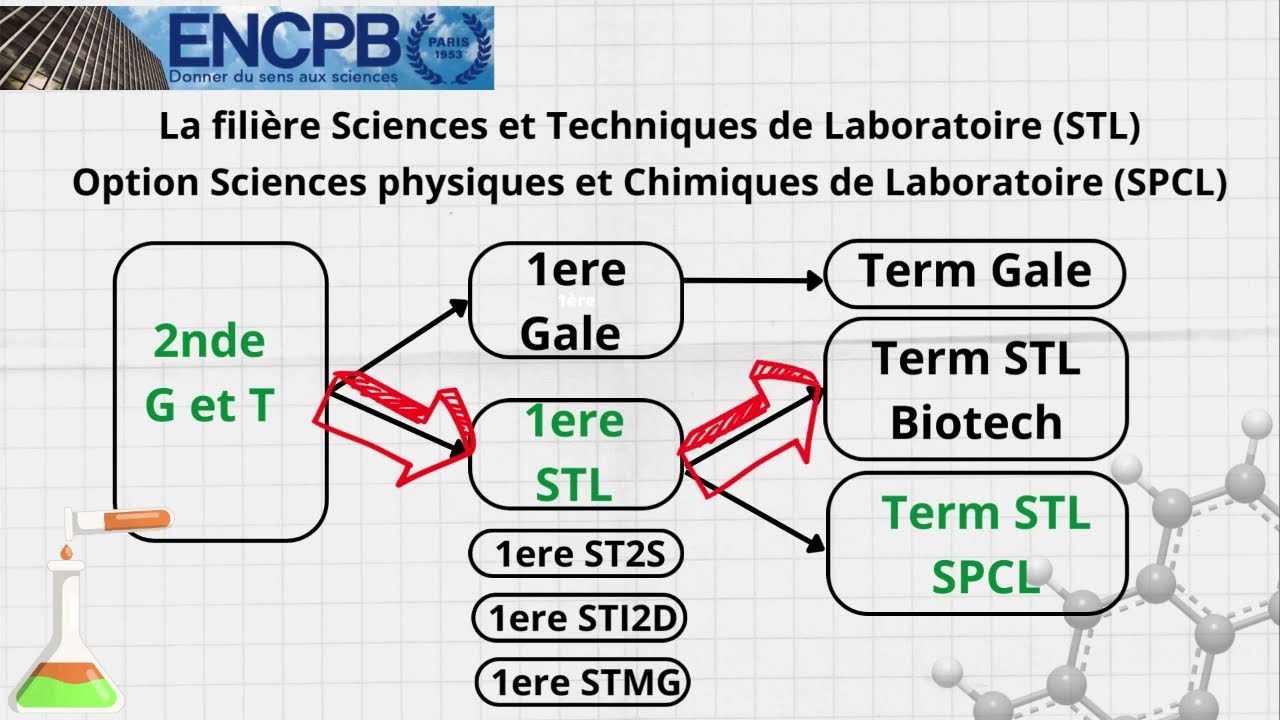 promotion de la fili&egrave;re STL SPCL 2023