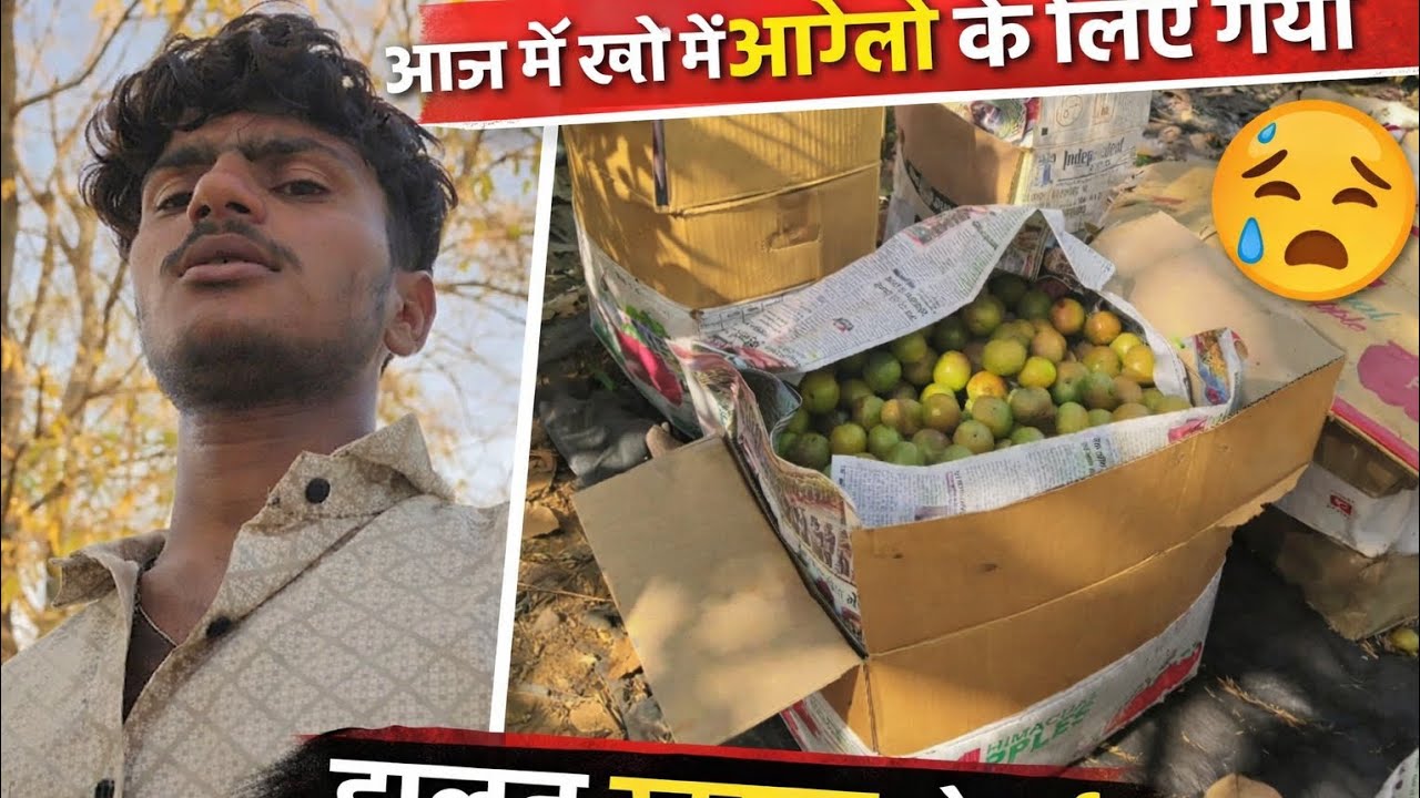 आज मैं गया अवल तोड़ने के लिएबैगन ❤️