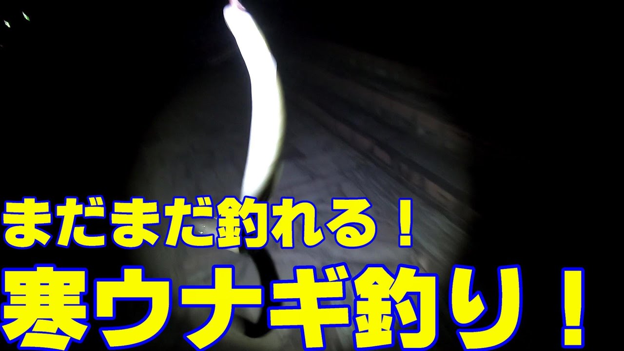 安定して釣りたい！　寒ウナギ釣り！！