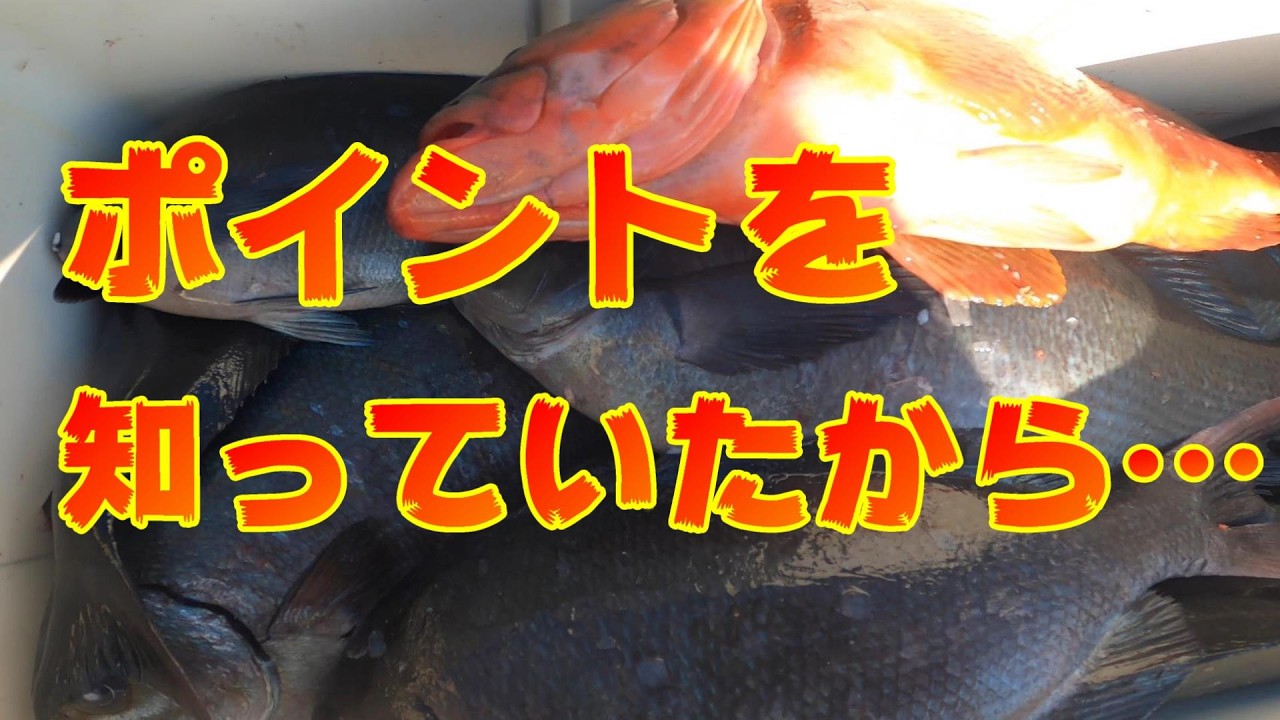 【五島列島】2年ぶりに乗る磯でポイントを知っていたので釣果に恵まれました