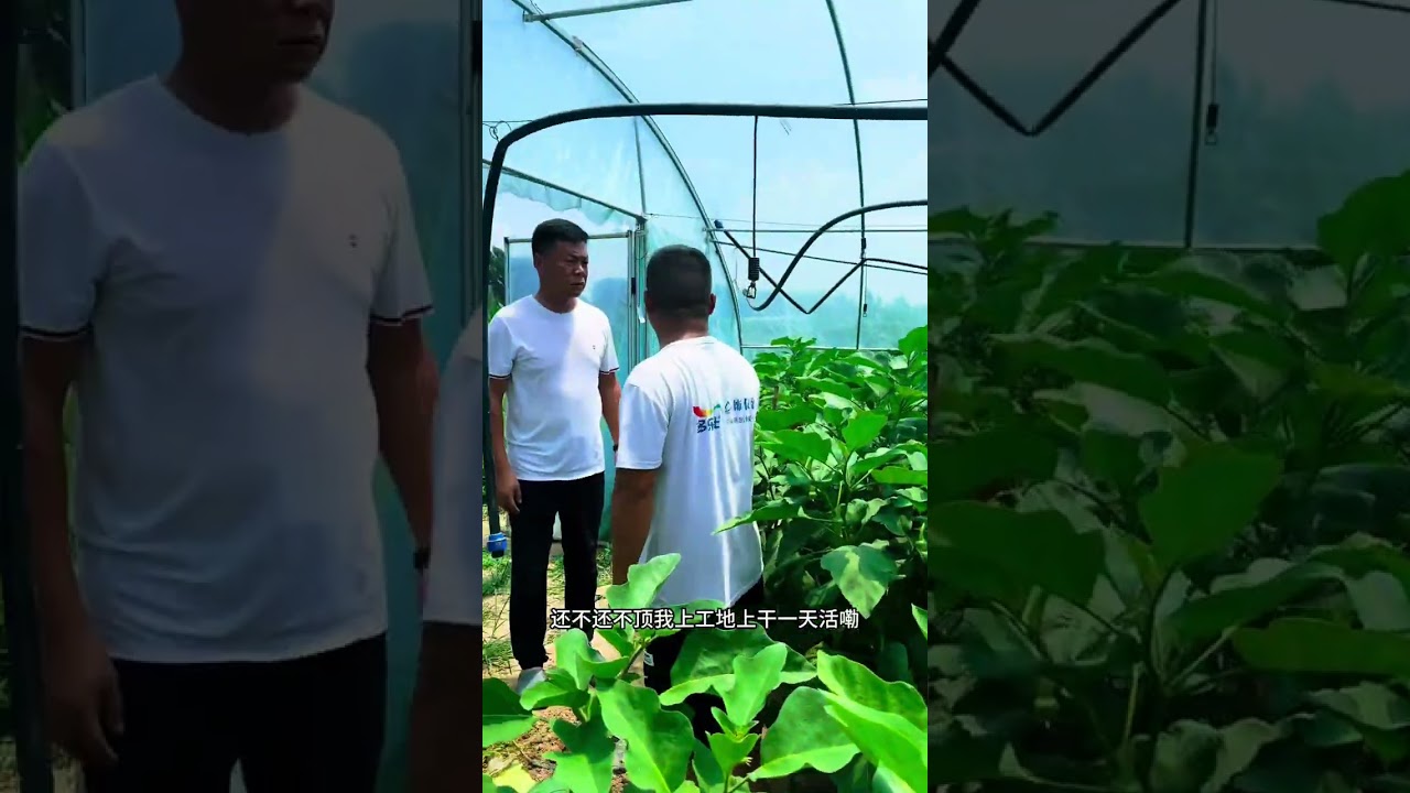 Bringing Henan's Agricultural Products to Every Household - No Waste, No Worries