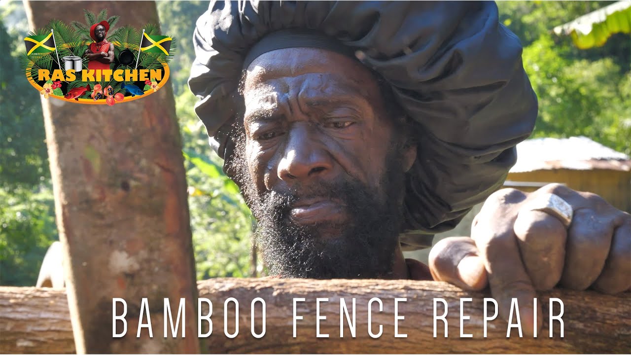 Bamboo Fence Repair Jamaica Style!