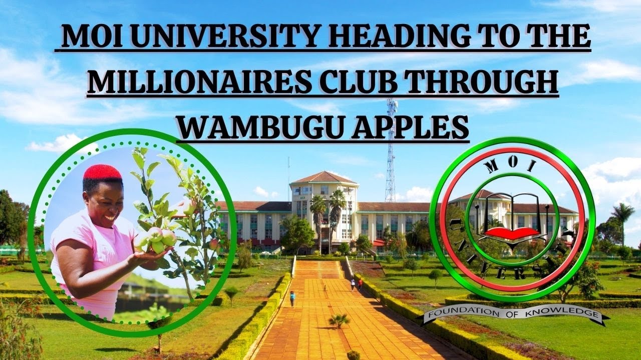 WITH 60,000 TREES, MOI UNIVERSITY IS ALREADY CELEBRATING THE SUCCESS OF WAMBUGU APPLES.