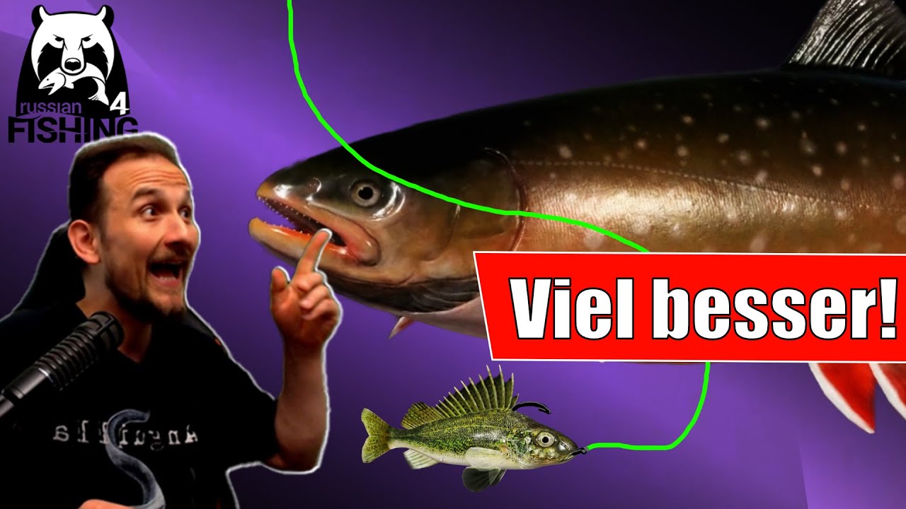 Russian Fishing 4 - Kuori - Sehr Nice! Köderfisch auf Grund und Match