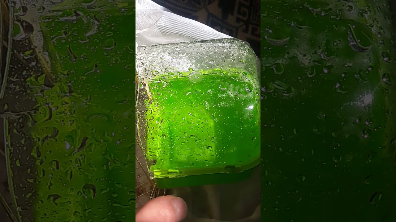 bir can mutlu etmek kadar güzel bişi varmı kavga etselerde bir biri olmadan yapamazlar