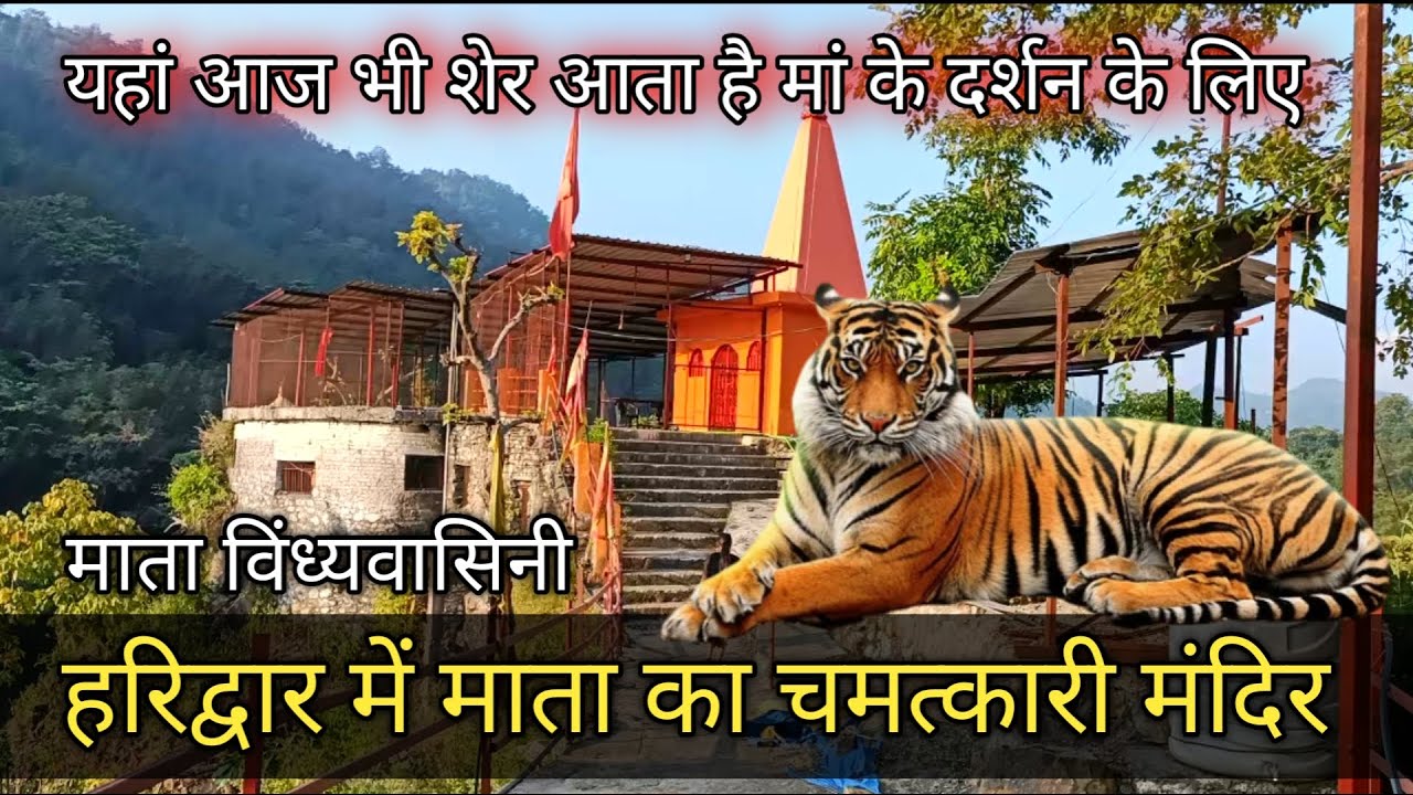 Vindhyavasini Temple || हरिद्वार के पहाड़ों के बीच माता का सुंदर मंदिर || Maa Vindhyavasini Mandir