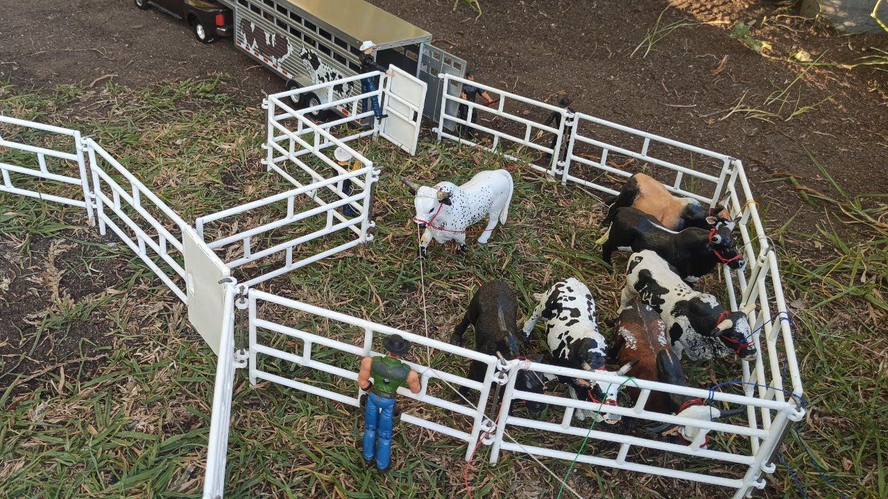 El regreso de el señor de lo cielos🐂Rancho nuevo mini jaripeo🔥