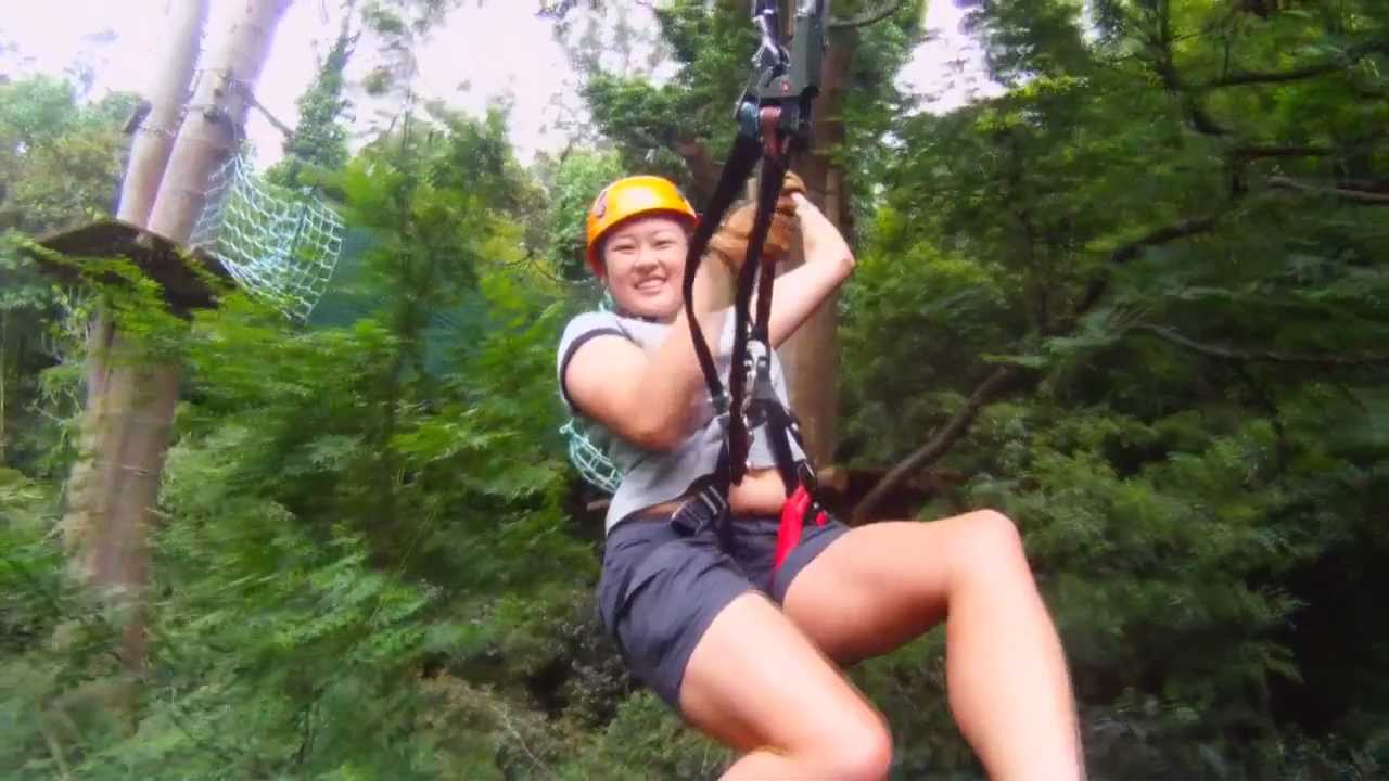 Tourism Excellence - Fostering Innovation: Trees Adventure