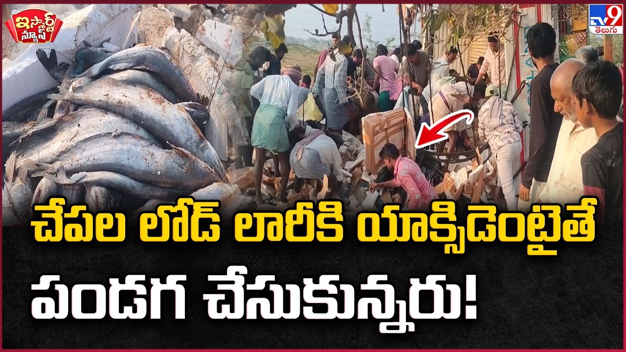 iSmart News : చేపల లోడ్ లారీకి యాక్సిడెంటైతే పండగ చేసుకున్నరు! | Fish Lorry - TV9