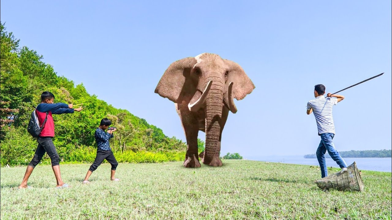 Elephant Attack On Village Boy In Forest | Elephant Attack In Jungle | Elephant Video | Part 49