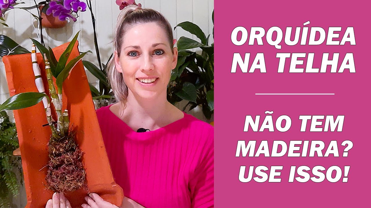 COM APENAS UMA TELHA VOCÊ CULTIVA QUALQUER ORQUÍDEA