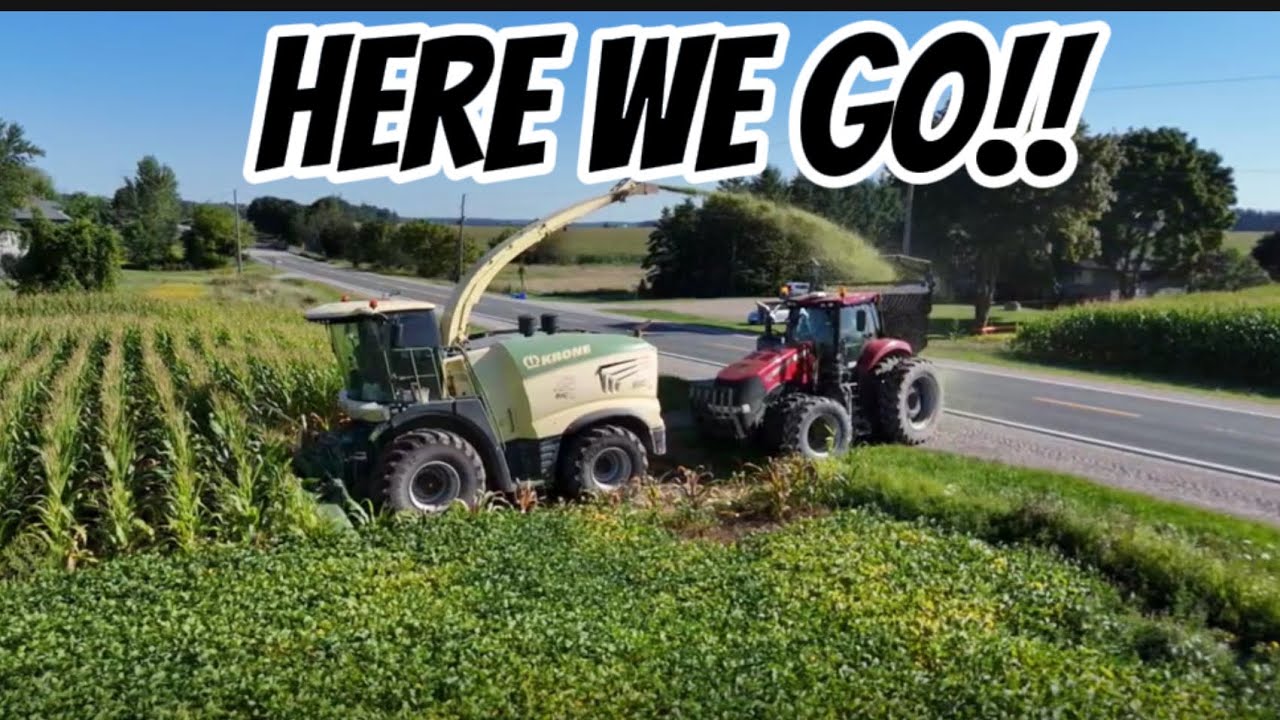 HUGE first day of corn silage 2025!! 