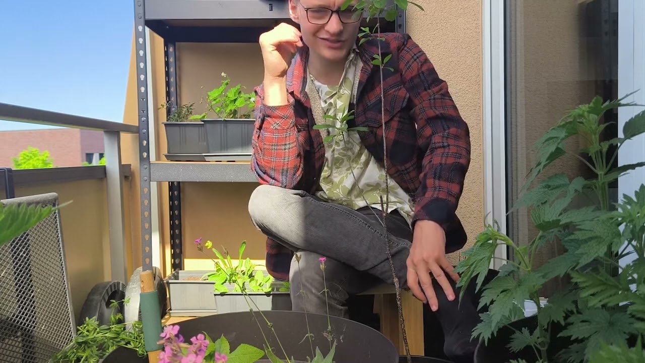 Meine Balkonbepflanzung!