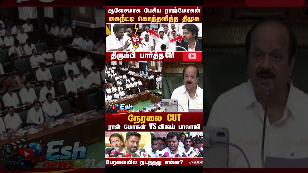 ராஜ் மோகன் VS விஜய் பாலாஜி#tvk#dmk #tvkgovernment #trendingreels #shorts #cmvijay