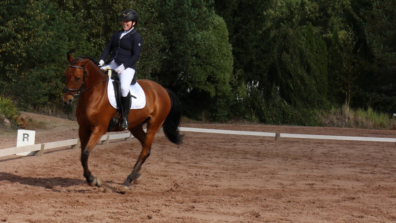 Helppo C, E.B. Special 2022 Derwan 13.9.2025