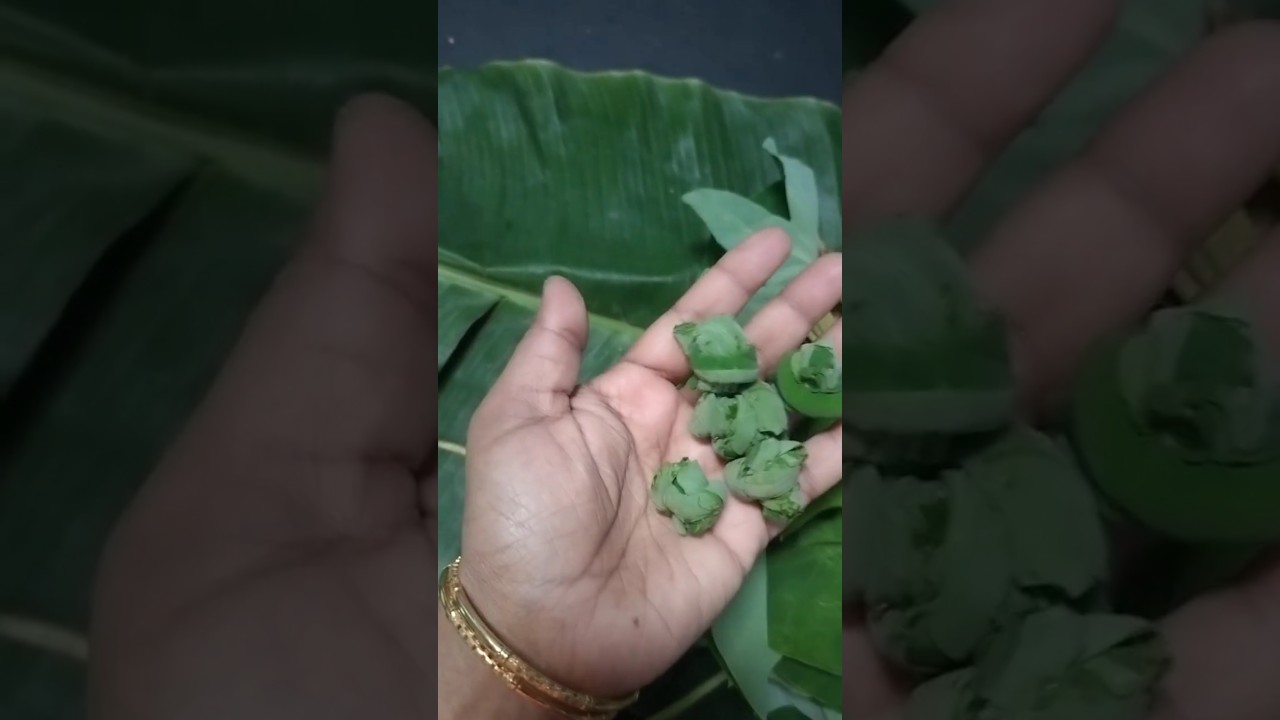 Leaf by Leaf:How to Knot and Roll Kesa Soppu Perfectly