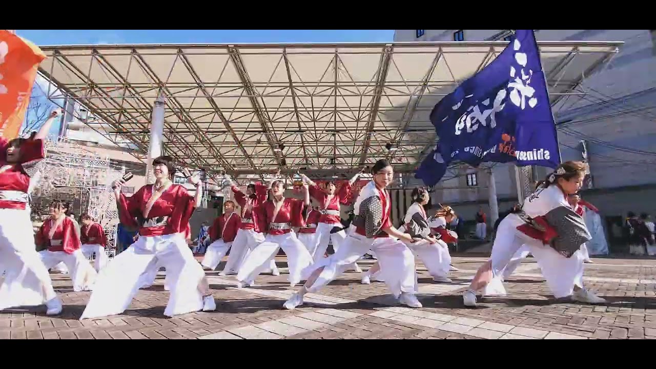 【新煽組】ビーフラットショーケース よさこい
