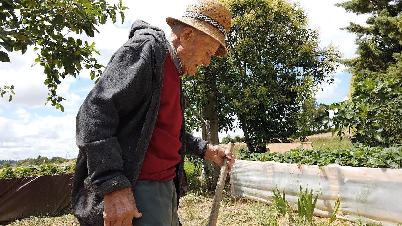 106 ans, avec sa pioche au potager ! Le doyen du Gers, un centenaire en grande forme...