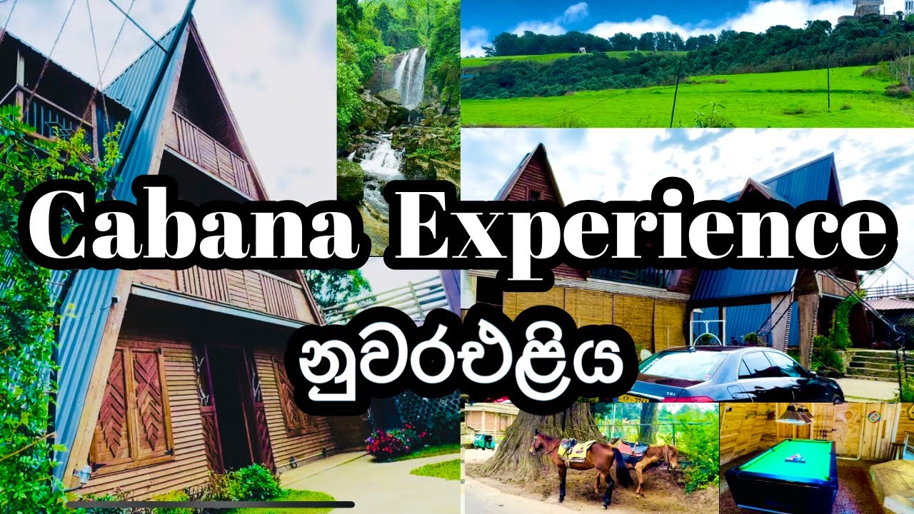 සීතල නුවරඑළියේ Cabana Experience එකක් - Hunters Wood Cabin ⛺️🏕️