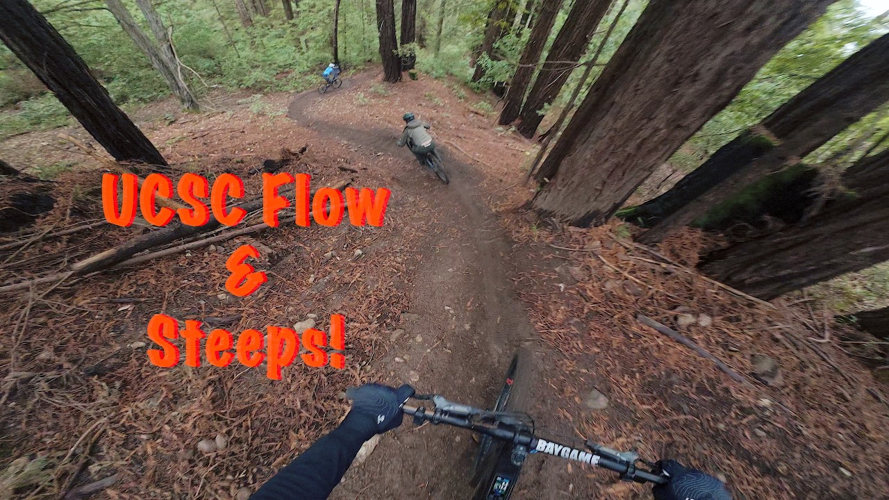 UC Santa Cruz MTB Tour (February 2026)