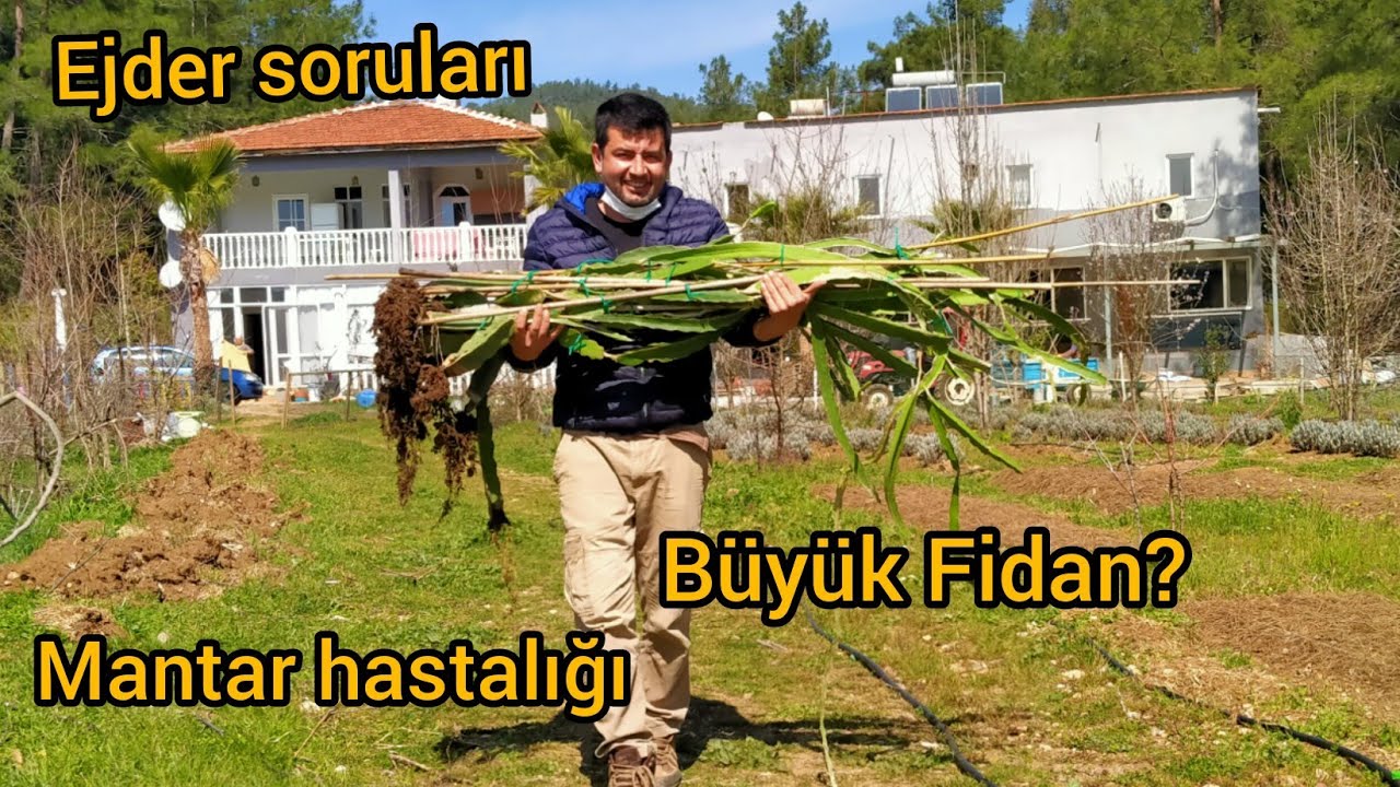 EJDER BAKIMI VE SIKÇA SORULAN SORULAR