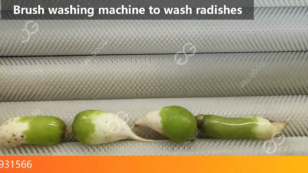 How To Wash Radishes? Brush Washing Machine To Wash Radishes