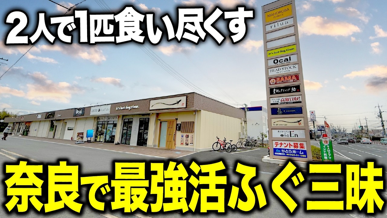 【コスパ崩壊】奈良で高級ふぐ丸々1匹!? 8,800円の贅沢フルコースがヤバすぎた超穴場店を調査！