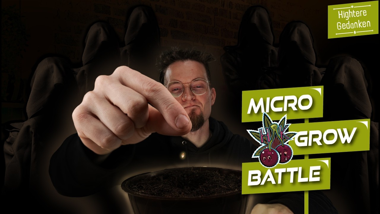 Das große MicroGrowBattle mit @Die Tomate @Homegrow Pro @Cannabis Tipps & Tricks und Teuto Grow[S1/E1]