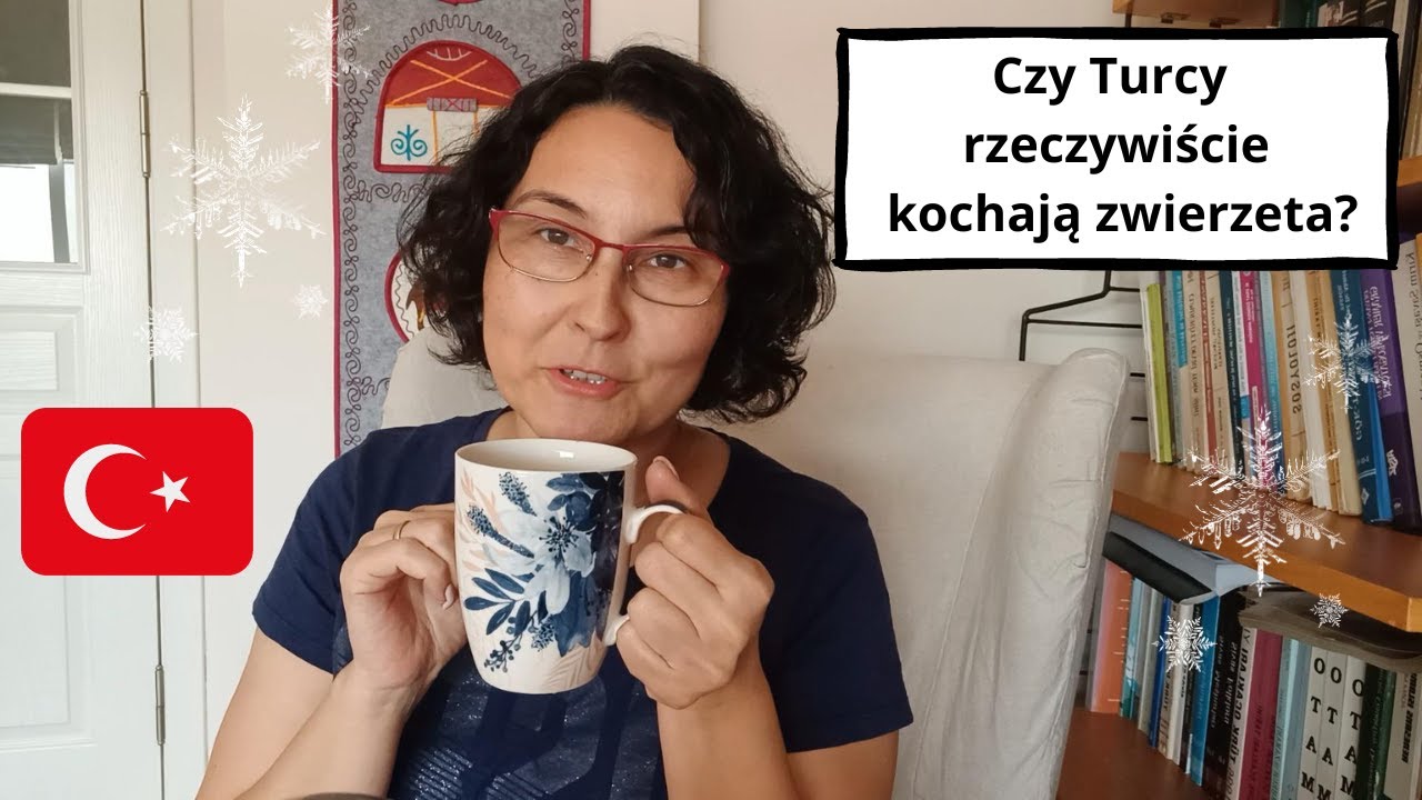 Moja codzienność! Bezdomne psy i koty w Turcji! Czy Turcy rzeczywiście kochaja zwierzeta? TURCJA!