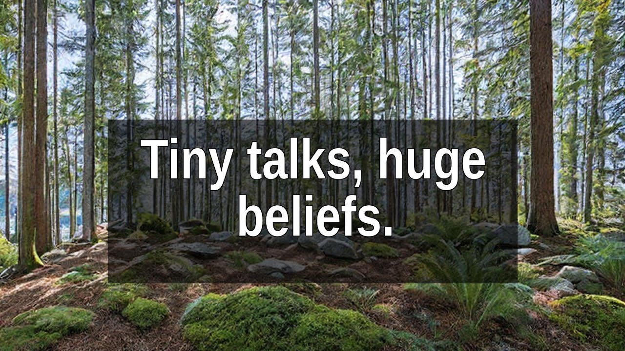 Hidden Chorus: How Tiny Chats Shape Our Shared Beliefs