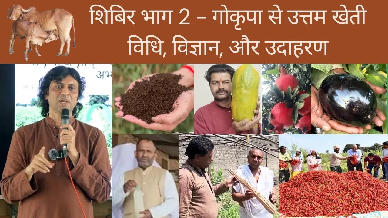 गोकृपा शिबिर भाग 2   गोकृपा से उत्तम खेती। आइए, विधि, विज्ञान, और उदाहरण के साथ समझते हैं।