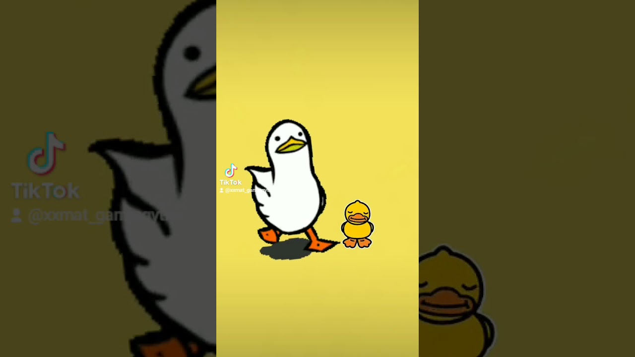 Epic Duck Walking With His Son