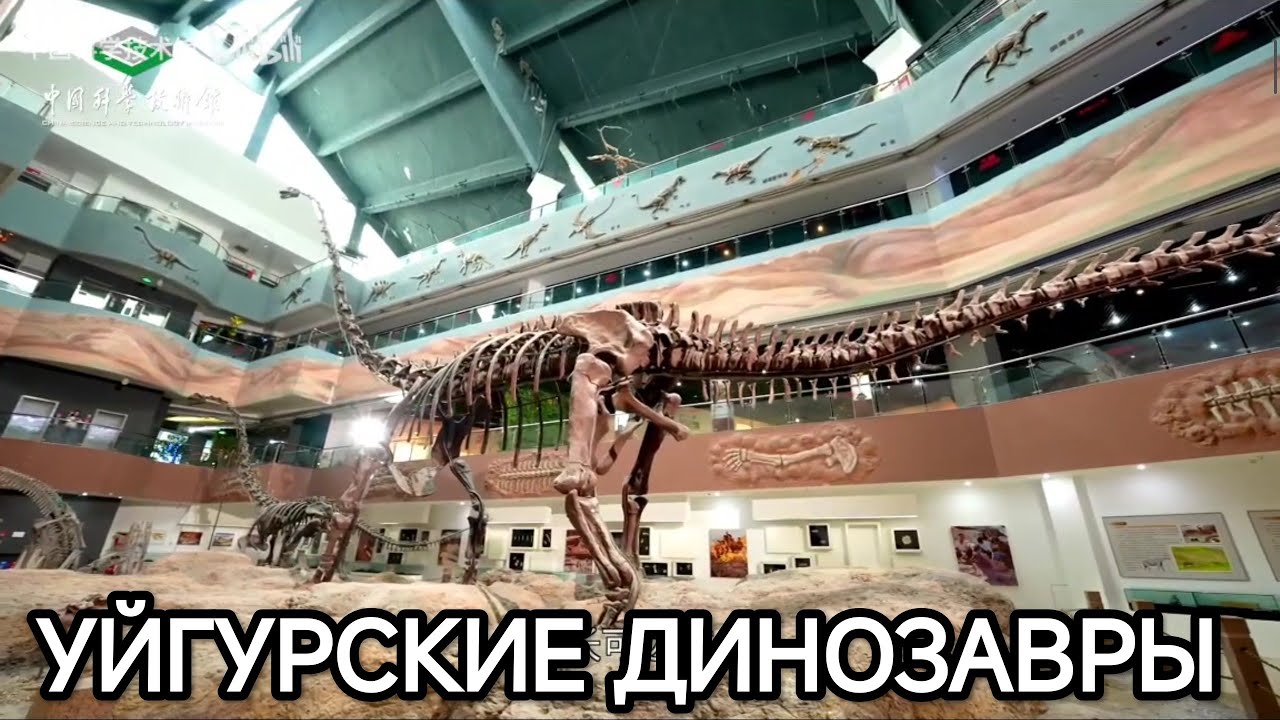 УЙГУРСКИЕ ДИНОЗАВРЫ 
