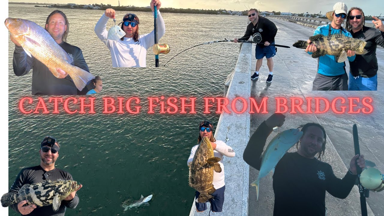 HOW TO CATCH BIG FISH from The Bridge (ANYONE Can do it ) Tips & Tricks!