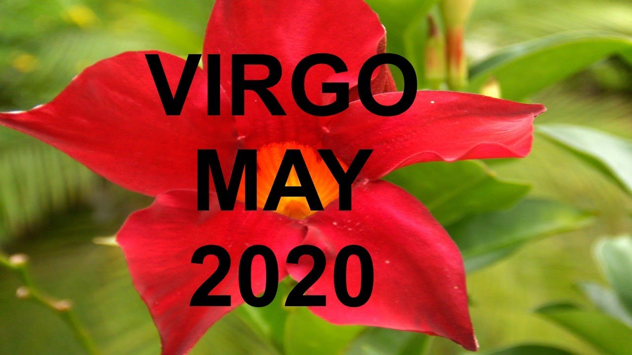 Virgo Tarot May 2020  💲 YOUR WORLD LIGHTS UP! 💖 Love & Money Clairvoyant Psychic Tarot Reading 🔮