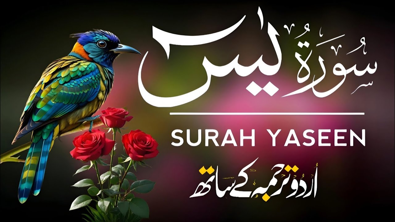 Surah Yaseen | Surah Yaseen With Urdu Translation | Episode - 440