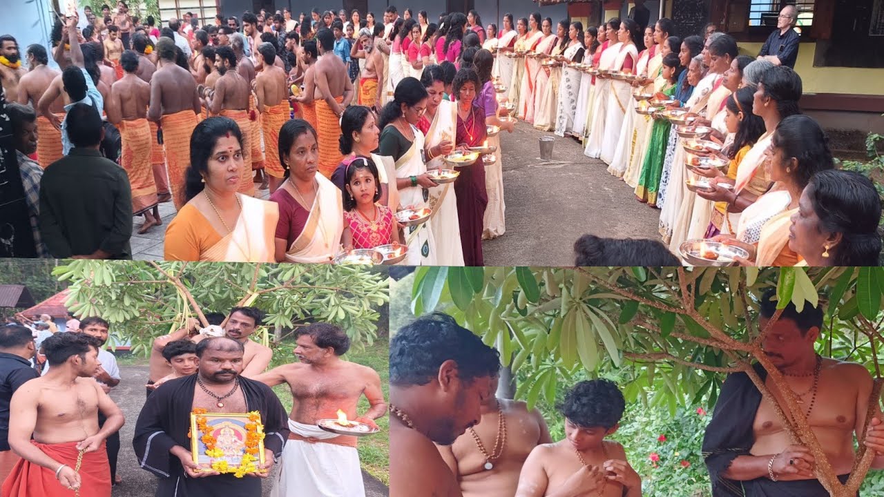 വട്ടേനാട് കൂറ്റനാട് ആലപ്പറമ്പിൽ ഗംഭീര ദേശവിളക്ക് പാലകൊമ്പ് എഴുന്നൊള്ളിക്കൽ Palakkad Kerala