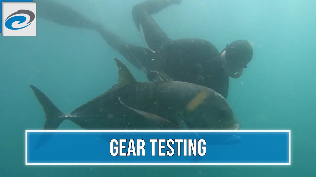 Rob Allen | Gear Testing